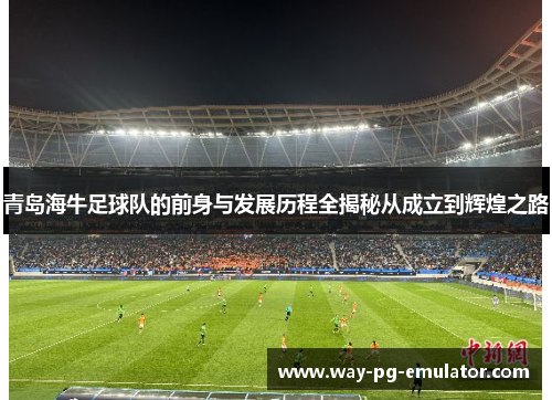 青岛海牛足球队的前身与发展历程全揭秘从成立到辉煌之路 青岛海牛足球队的前身与发展历程全揭秘从成立到辉煌之路