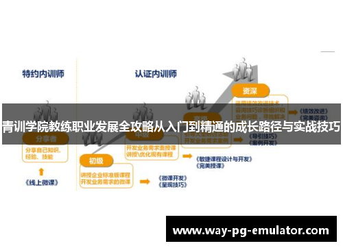 青训学院教练职业发展全攻略从入门到精通的成长路径与实战技巧