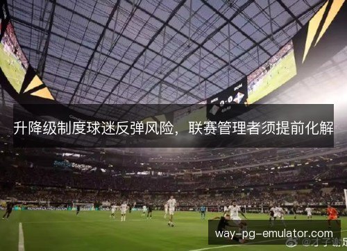 升降级制度球迷反弹风险,联赛管理者须提前化解 升降级制度球迷反弹风险,联赛管理者须提前化解