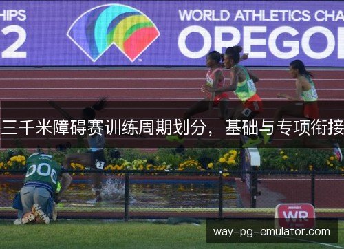 三千米障碍赛训练周期划分,基础与专项衔接 三千米障碍赛训练周期划分,基础与专项衔接